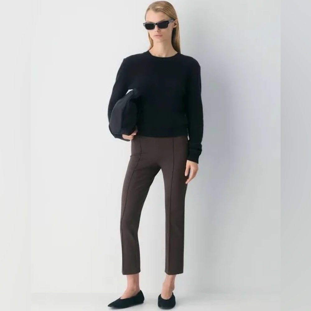 Babaton/Aritzia pant